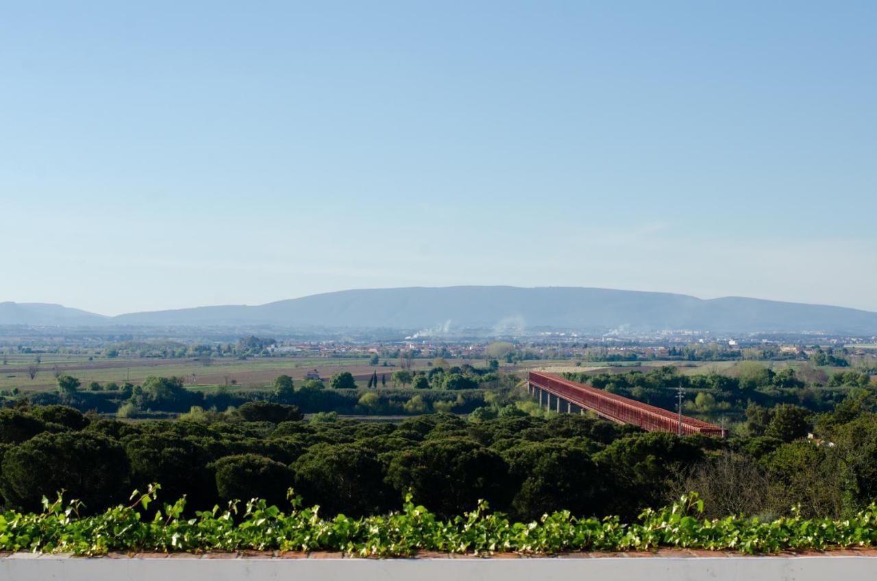 Convento Inn And Artists Residency Chamusca  외부 사진