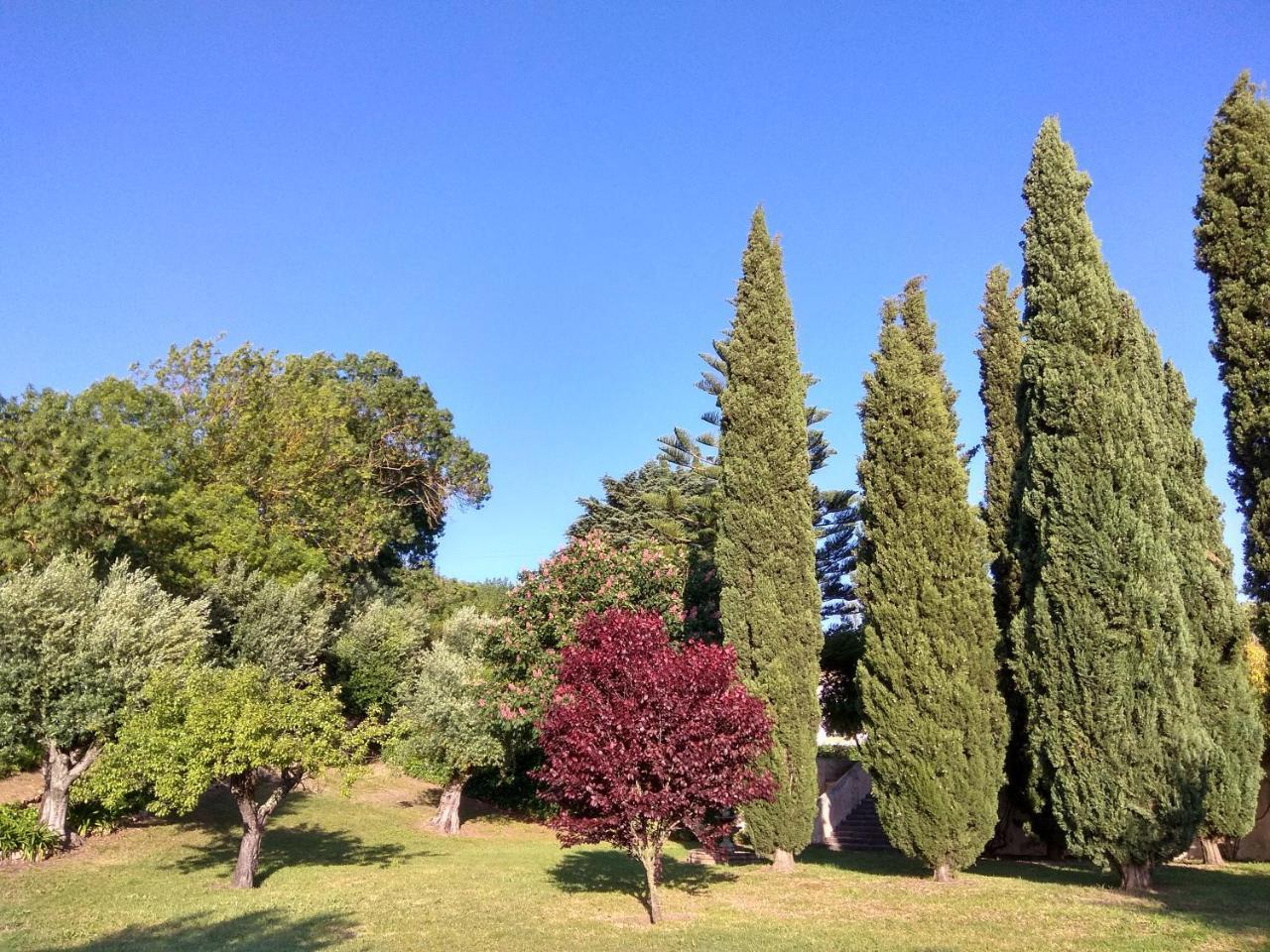 Convento Inn And Artists Residency Chamusca  외부 사진